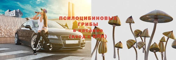 герыч Гусь-Хрустальный