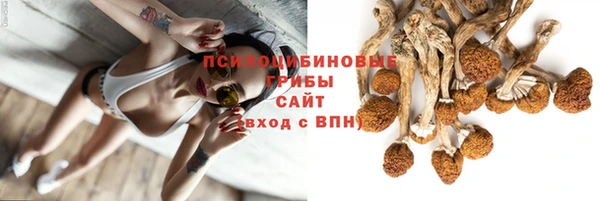 наркотики Гусев