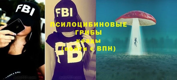 герыч Гусь-Хрустальный