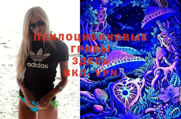 наркотики Гусев
